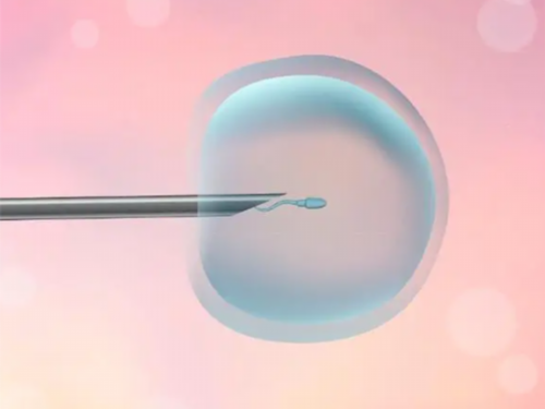 盘点人工周期子宫内膜、雌二醇要求，全部达标方可移植