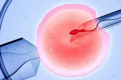 狗肉火锅底料_狗肉火锅的营养_狗肉火锅上火吗