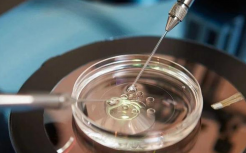 做辅助生殖的女性如何提高免疫力