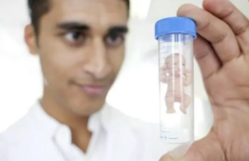 代生孩子-备孕吃芹菜可以吗（女性备孕食谱）