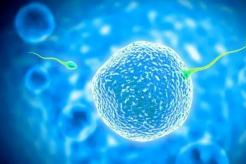 助孕单身女性：月经前出黑褐色血