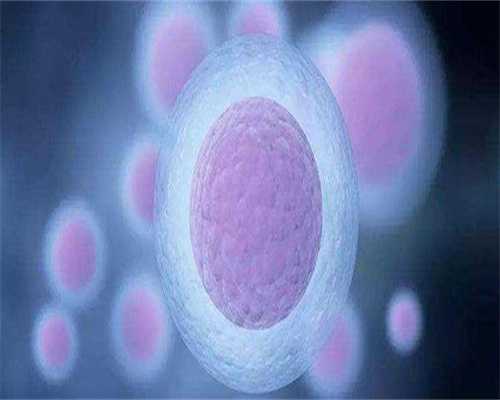 供卵生子医院：甲状腺功能减退会影响胎儿的智力