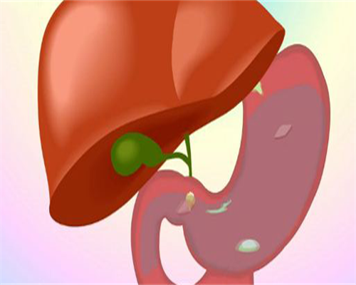 试管捐卵代怀-浙江省人民医院试管婴儿：费用透明与技术前沿