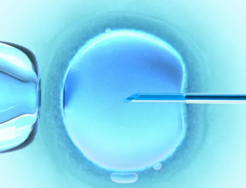 借卵需要流程-备孕腰刺痛，备孕腰痛怎么办