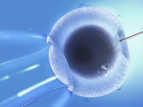 孕38周B超正常数据