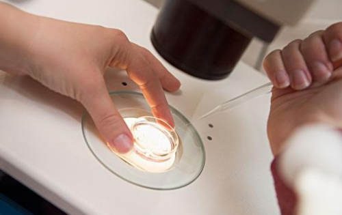 黄体酮的作用(孕期牙周炎怎么办)