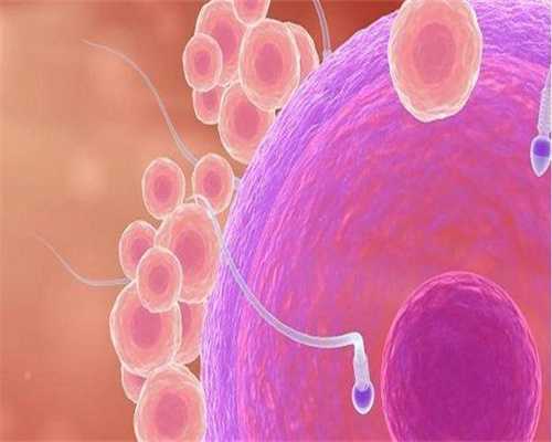 私立助孕医院:精子筛选能生男孩吗