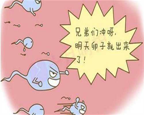 代怀助孕机构：促排雌二醇达到多少可以取卵