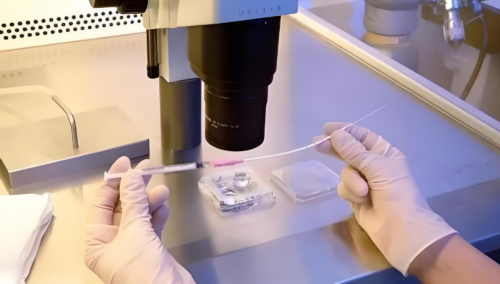 产后雌激素下降怎么补