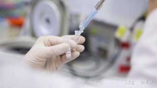 卵裂期胚胎移植成功率2三级卵裂期胚胎移植成功率