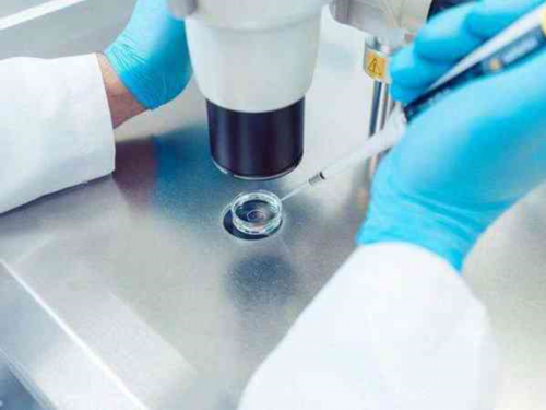 辅助生殖移植成功后为什么会胎停?