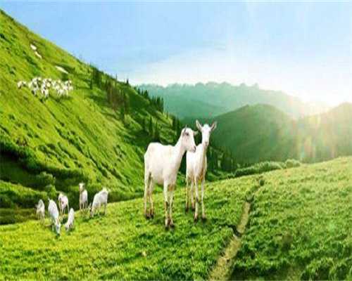 绒毛组织跟胚胎组织有什么区别与关系？