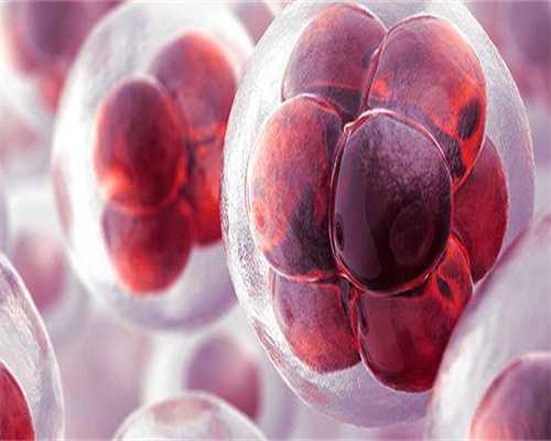 试管降调期影响子宫吗