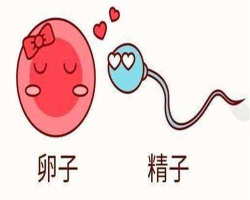 没有输卵管做试管婴儿能成功吗，没有输卵管做试管前的建议附成功率介绍