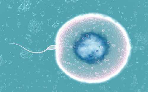 试管捐卵代怀:黄体酮胶囊有助孕效果吗，黄体酮胶囊有助孕效果吗怎么吃