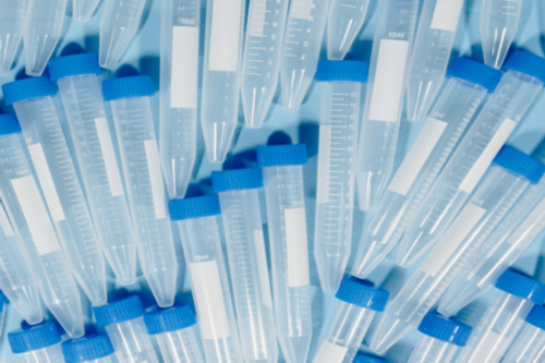 怎么判断绒促后排卵了（打完绒促后怎么知道是否排卵）