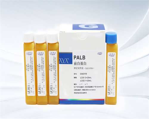 备孕期间痛经能吃布洛芬吗