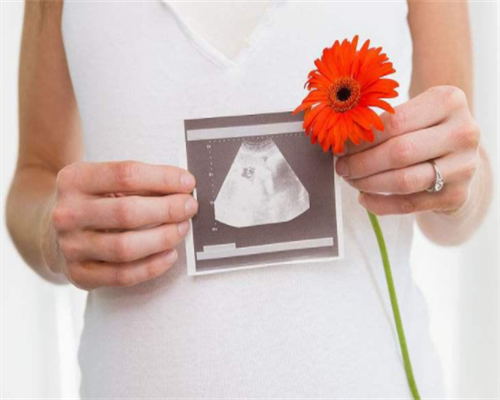 单身试管代生-卵泡发育不良会导致胎停吗