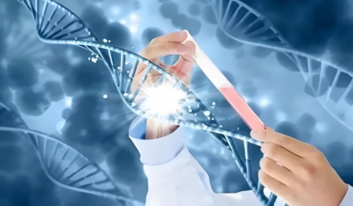 供卵公司-试管移植后，吃红薯竟有这些好处？