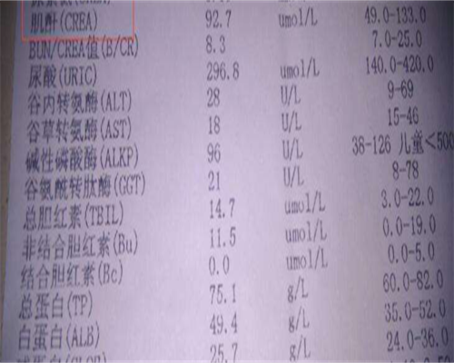 代生公司价格-抗核抗体阳性为什么会胎停