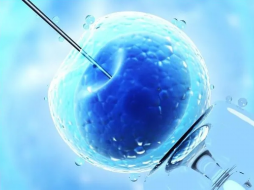 做三代试管，高龄男性会影响到试管的成功率吗？