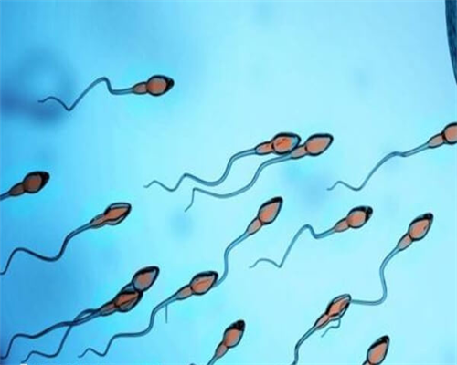 助孕咨询联系-结核性腹膜炎怀孕几率试管？结核性腹膜炎做试管婴儿成功率