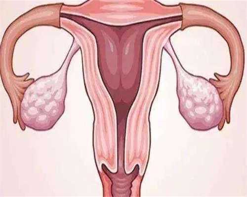 备孕可以吃阿胶糕吗（高龄备孕饮食食谱）