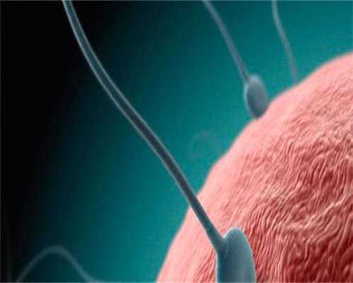 供卵包怀男孩:卵泡萎缩可以打促排吗