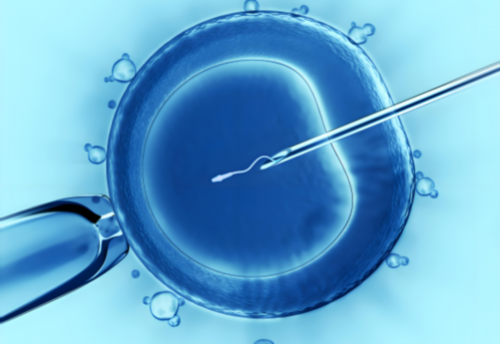 微刺激方案取了卵后多久能移植？附上总共费用！