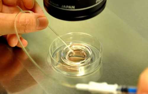 囊胚移植后睡眠不好激素是否会下降？