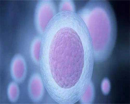 验血查早孕多久出结果