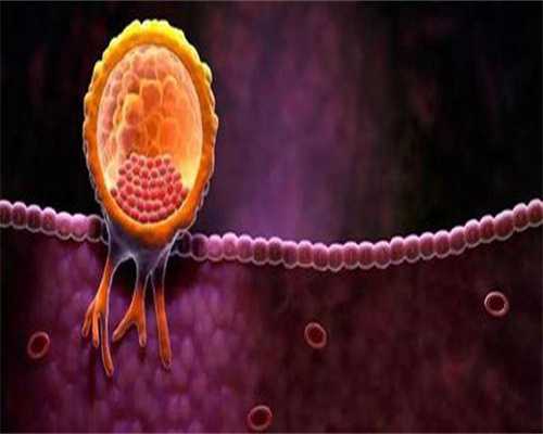 供卵包男孩-孕妇为什么应该吃鹅蛋？