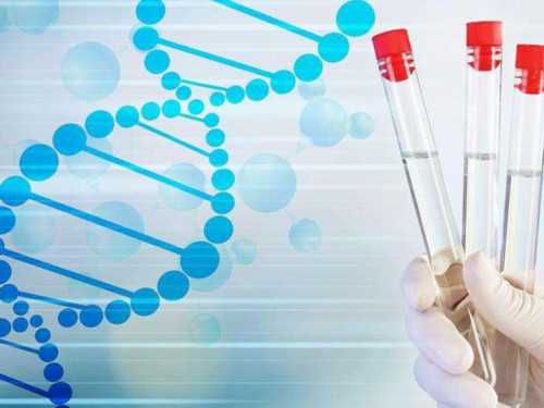 代孕包生男孩-试管婴儿费用可以走医保吗？可以报销吗？