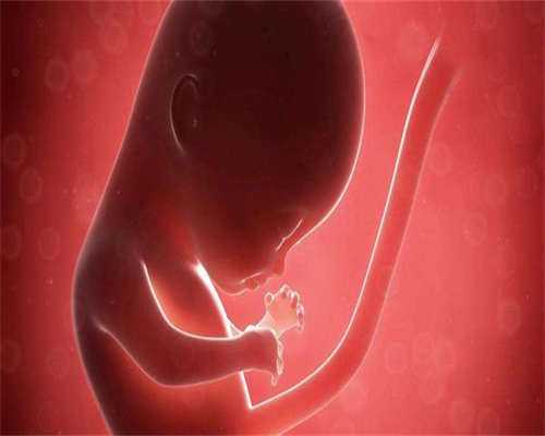 最佳代怀网-胚胎移植后吃红薯可以吗