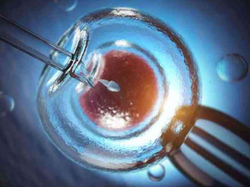 fsh试纸一深一浅？