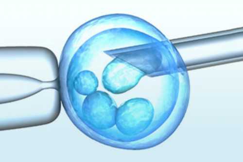优质囊胚出现染色体异常的概率是多少？