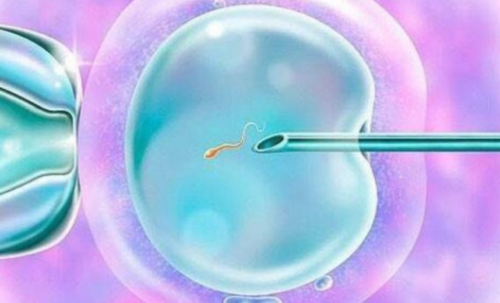 试管代生价钱:两次不着床是否还有必要继续移植？移植2次不着床是什么原因？