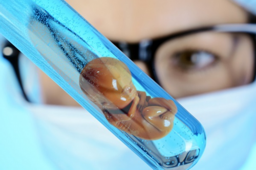 冻胚移植第二天感冒了还能成功吗?快移植了感冒了吃什么药?