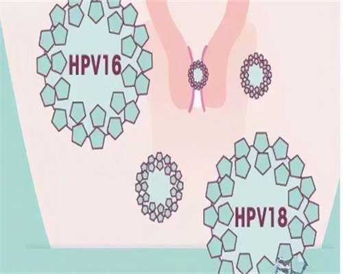 代生儿子电话：试管婴儿人工周期移植是什么意思？
