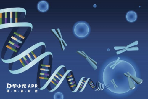 孕酮偏低对试管婴儿移植有影响吗？