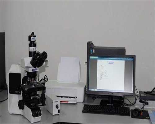 借卵自怀条件：孕晚期多久检查一次b超