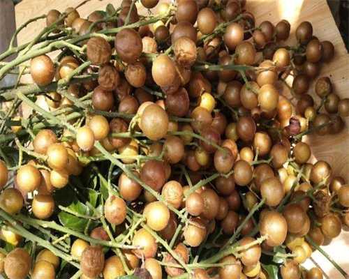 正规试管代怀-武汉助孕贵不贵移植前泡脚对胚胎着床