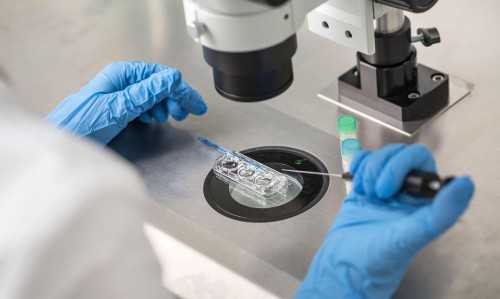 泰国试管婴儿费用明细包括哪些方面