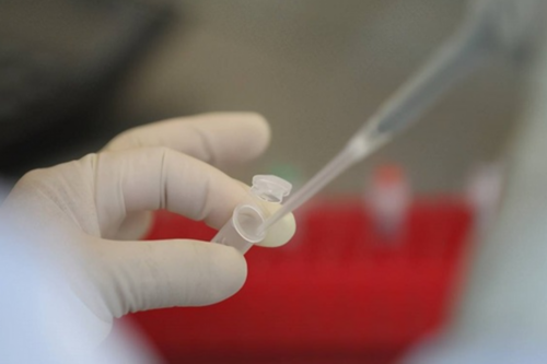 促排期间能不能吃韭菜？韭菜饺子馅怎么调才好吃？