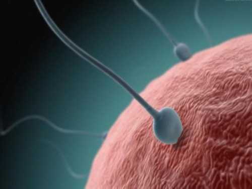 高龄试管案例不止 一个，48岁试管婴儿成功案例都在这里！