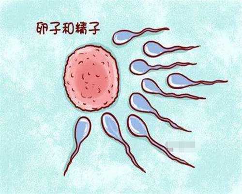 试管_试管婴儿费用可以报销医保吗