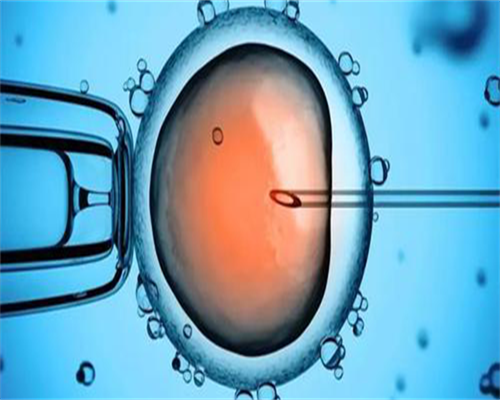 代怀孕网费用-ct对备孕有影响吗