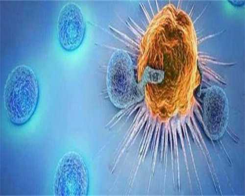 有没有办法提高胚胎移植成功率？