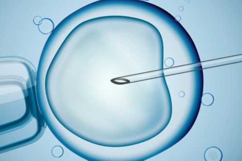 供卵机构助孕:试管婴儿该如何选择？