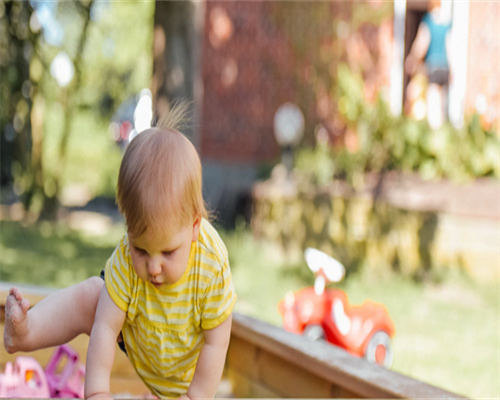子宫内膜-成功妊娠的秘密武器